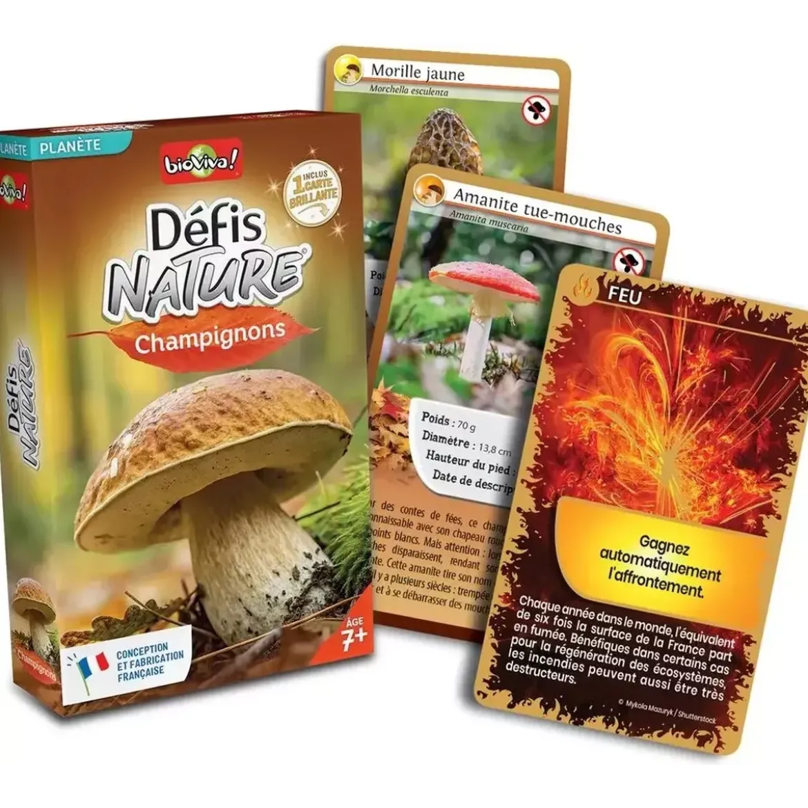 Défis Nature - Planète : Champignons