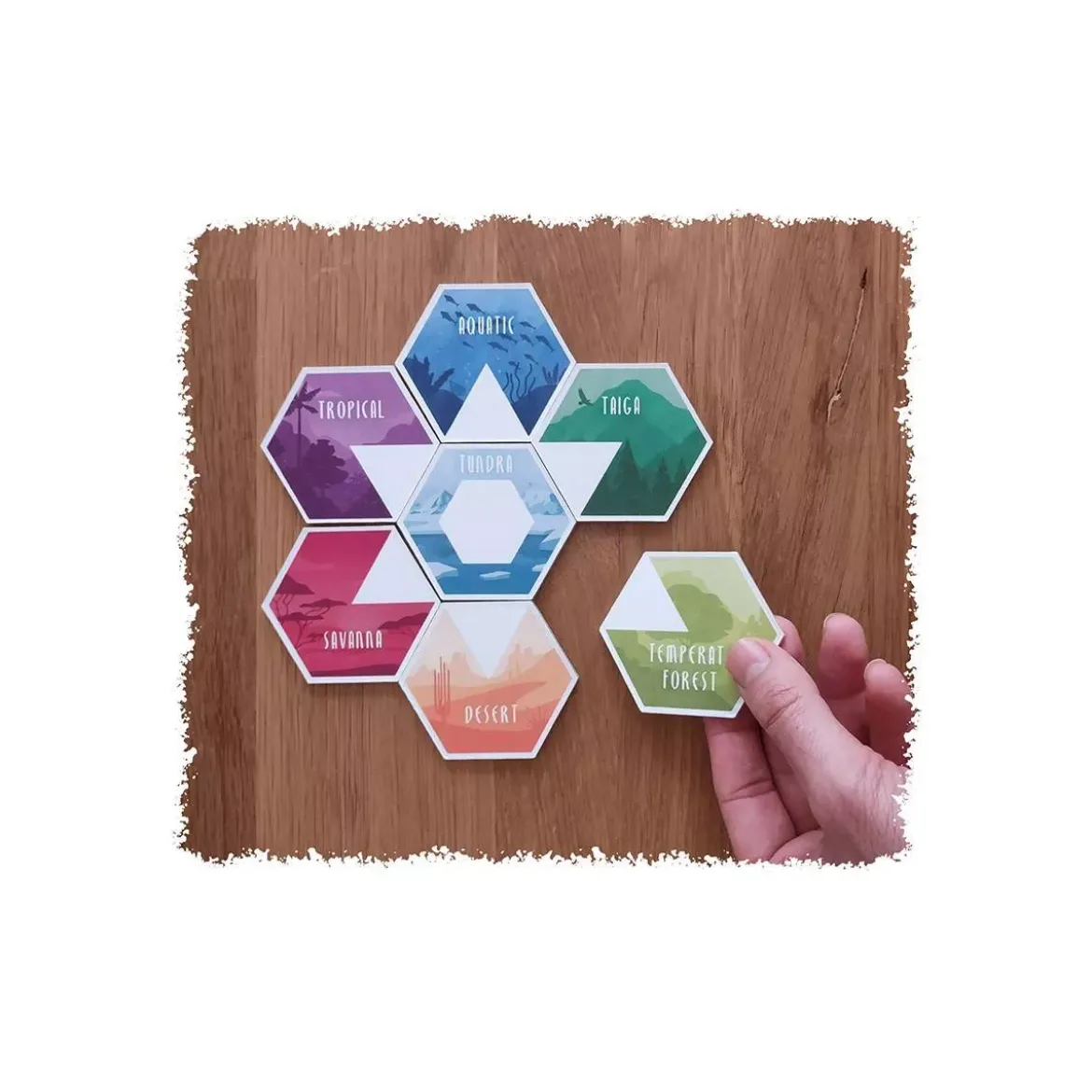 Ecosfera