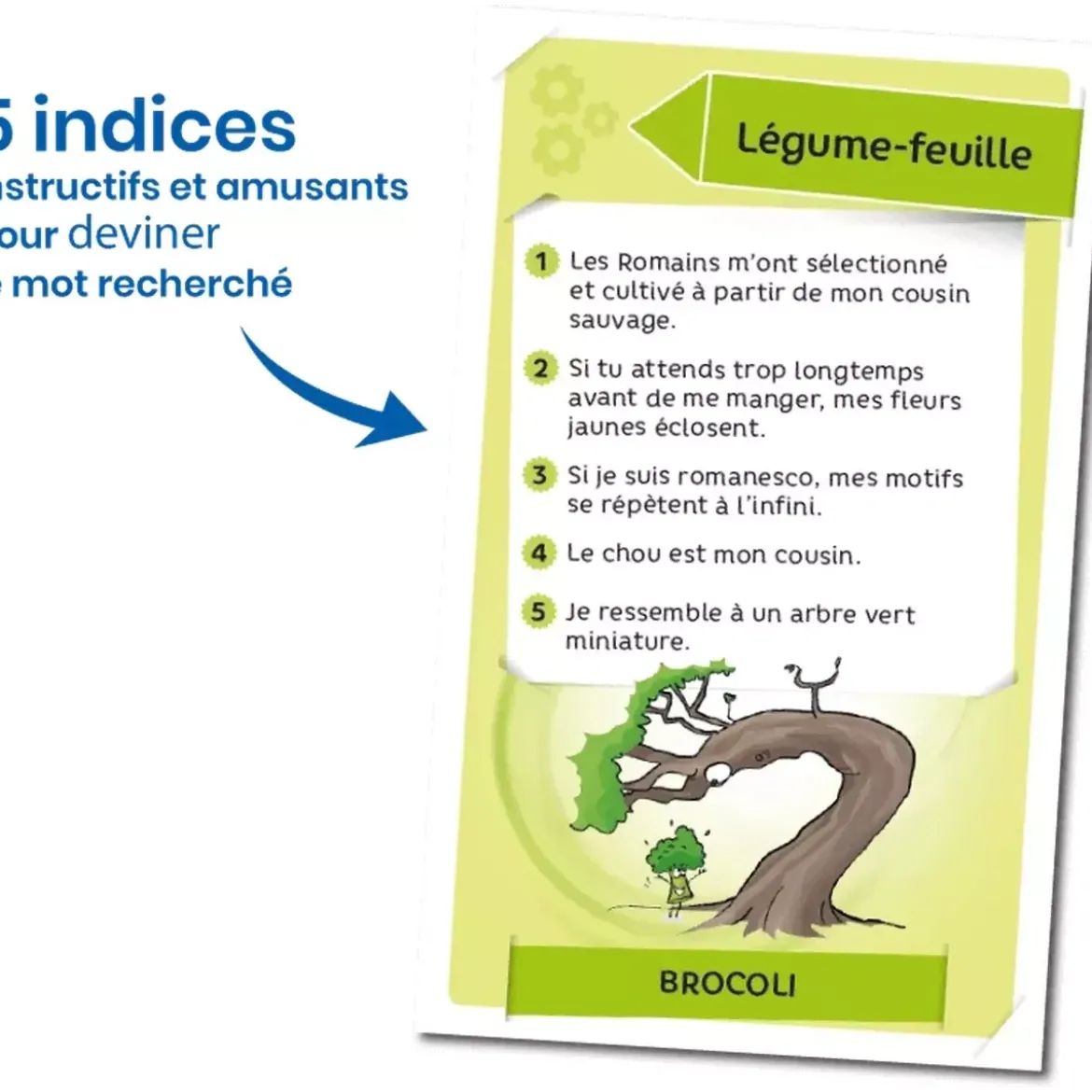 Enigmes : Fruits et Légumes