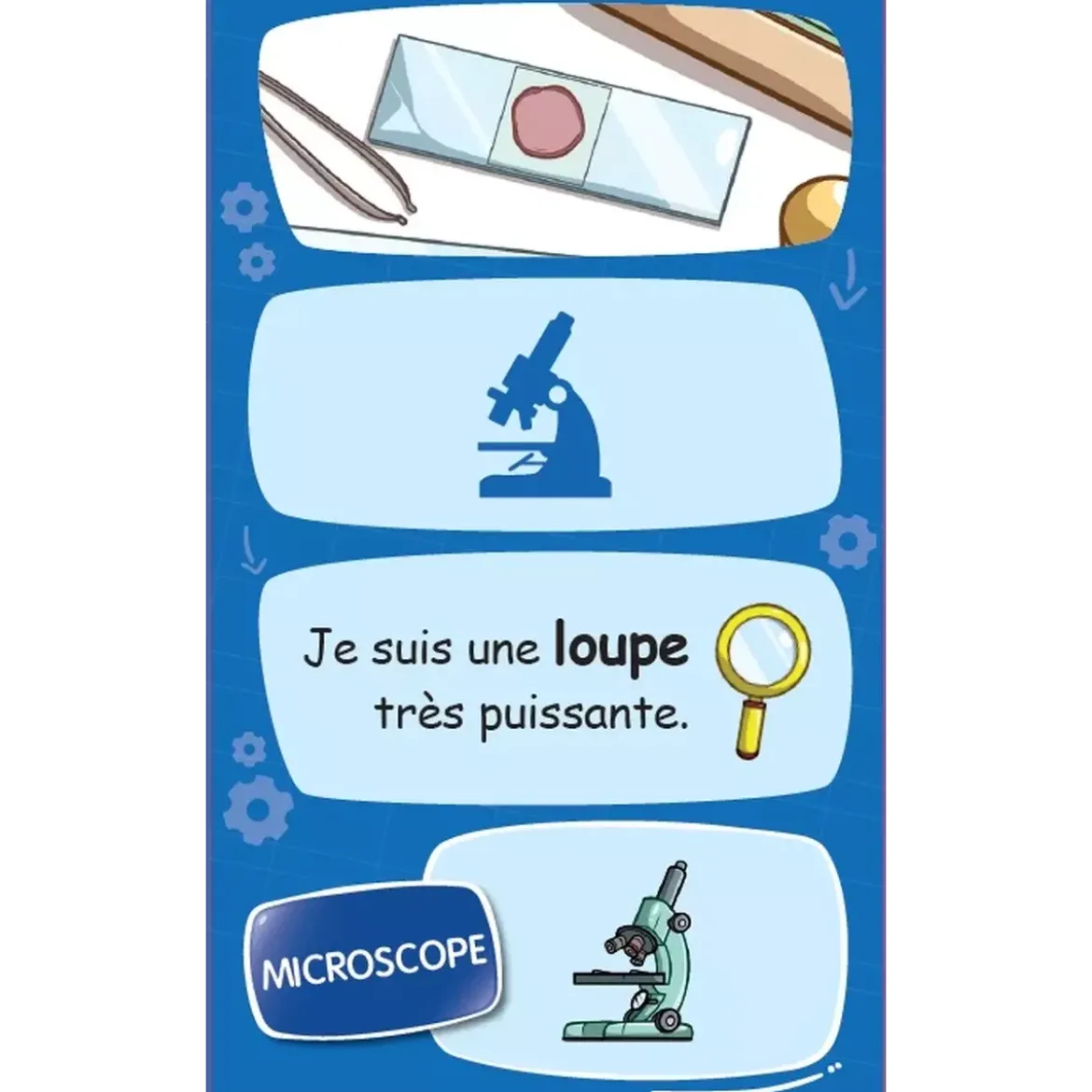 Enigmes - Junior : Graines de sciences