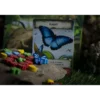 Evolution New World - Version Anglaise