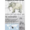 Fauna