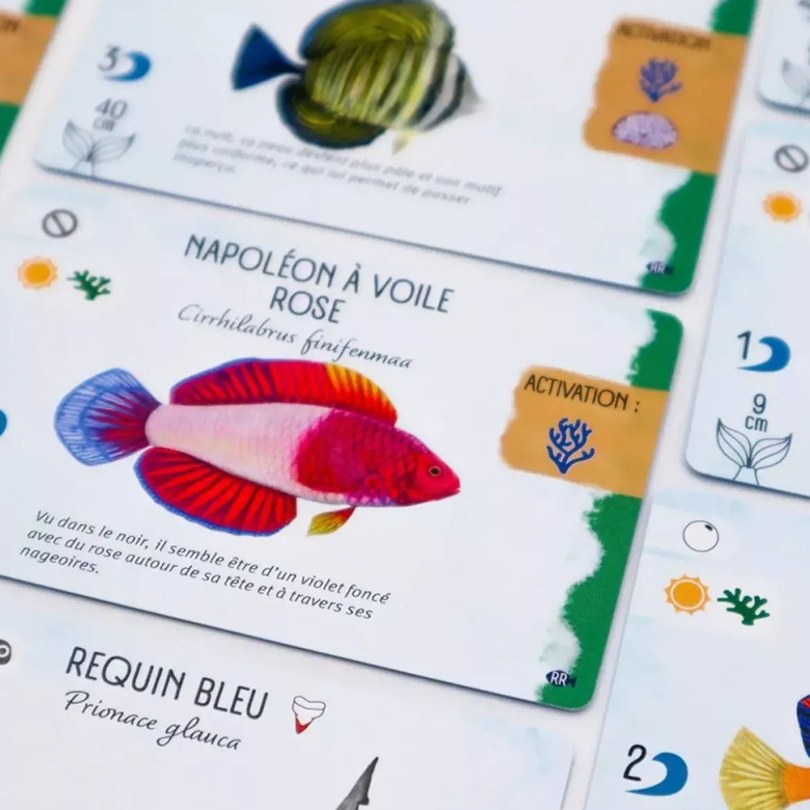 Finspan : Requins & Récifs - Extension