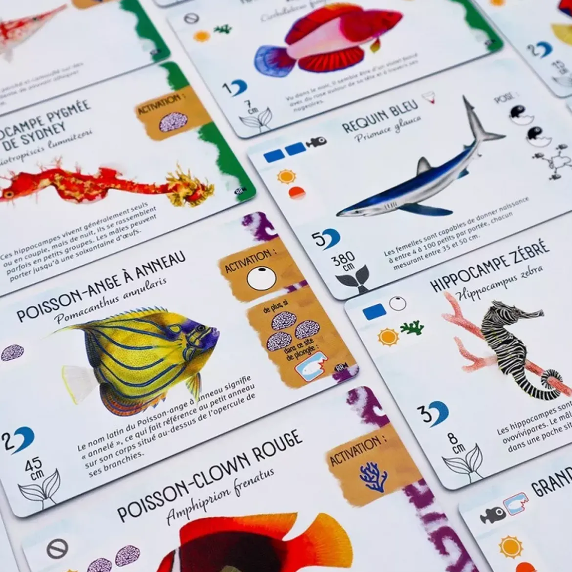 Finspan : Requins & Récifs - Extension