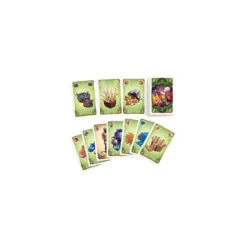 Five Tribes