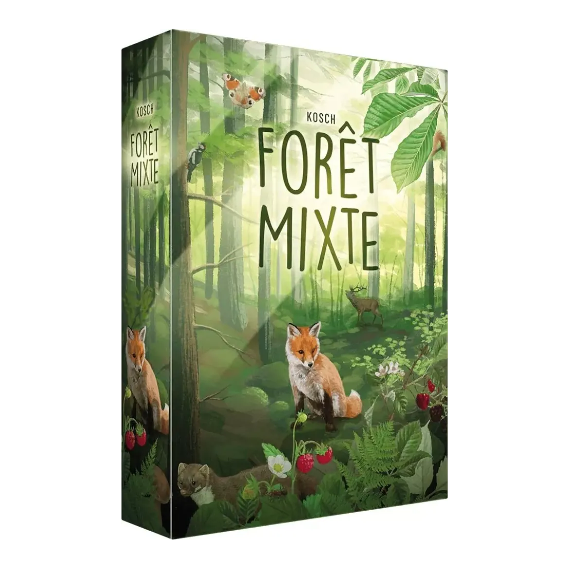 Forêt Mixte