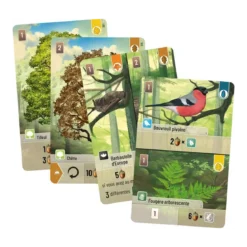 Forêt Mixte