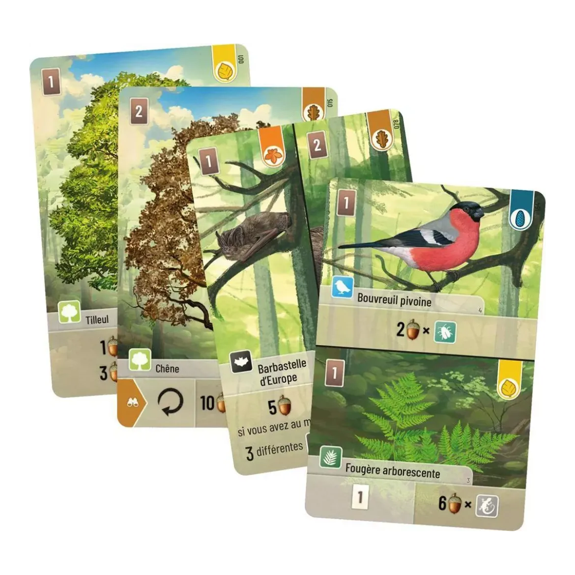 Forêt Mixte