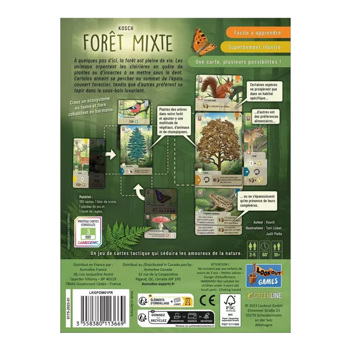 Forêt Mixte