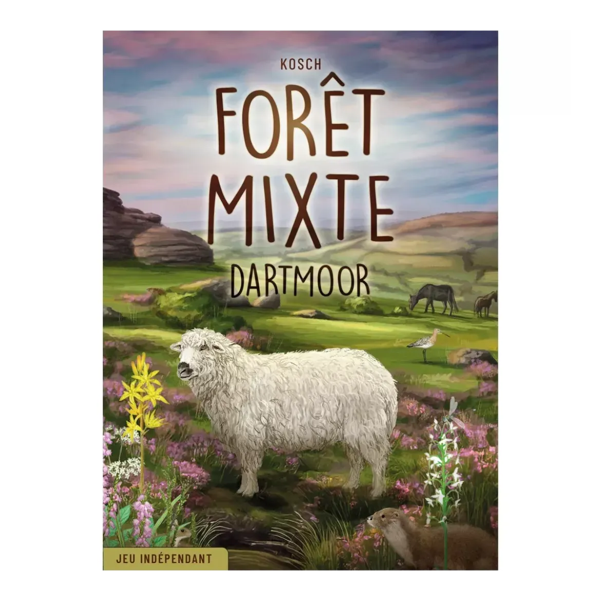 Forêt Mixte Dartmoor