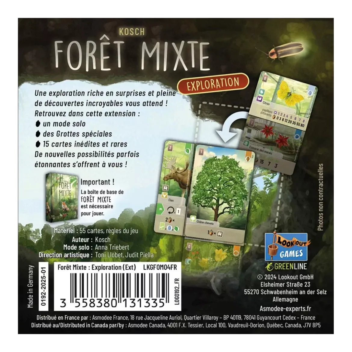 Forêt Mixte : Exploration - Extension