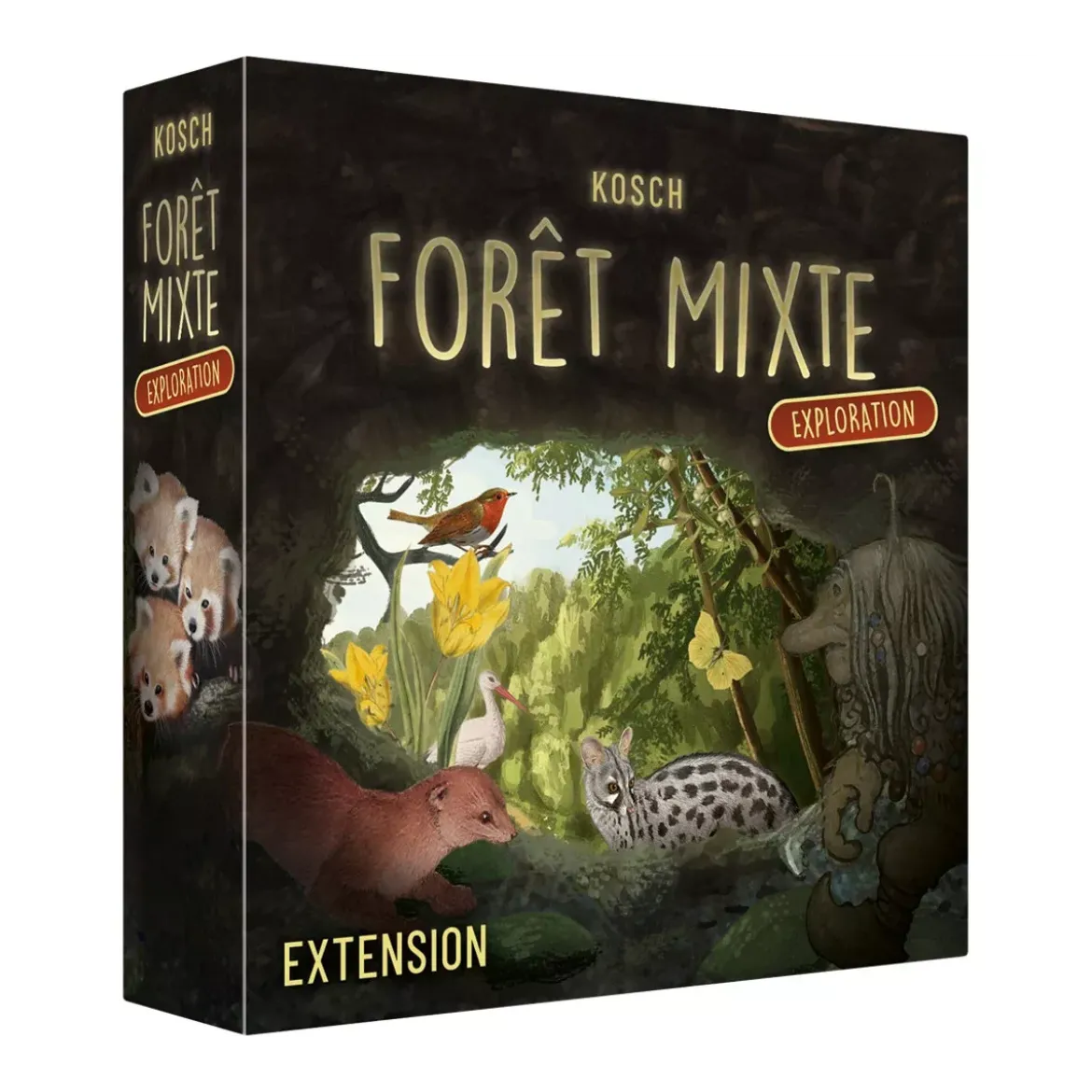 Forêt Mixte : Exploration - Extension
