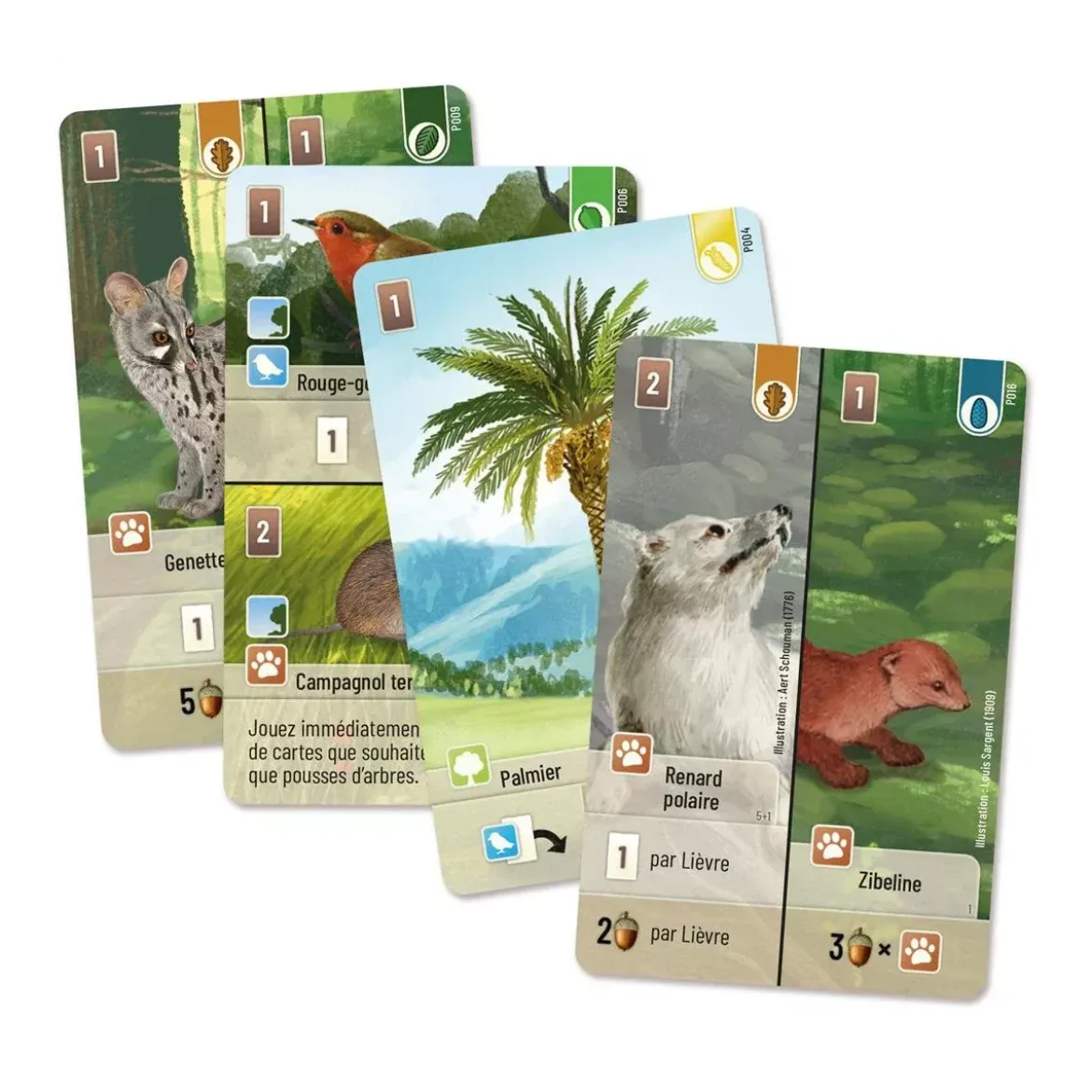 Forêt Mixte : Exploration - Extension