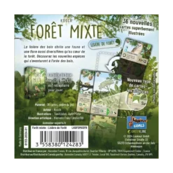 Forêt Mixte : Lisière de Forêt - Extension