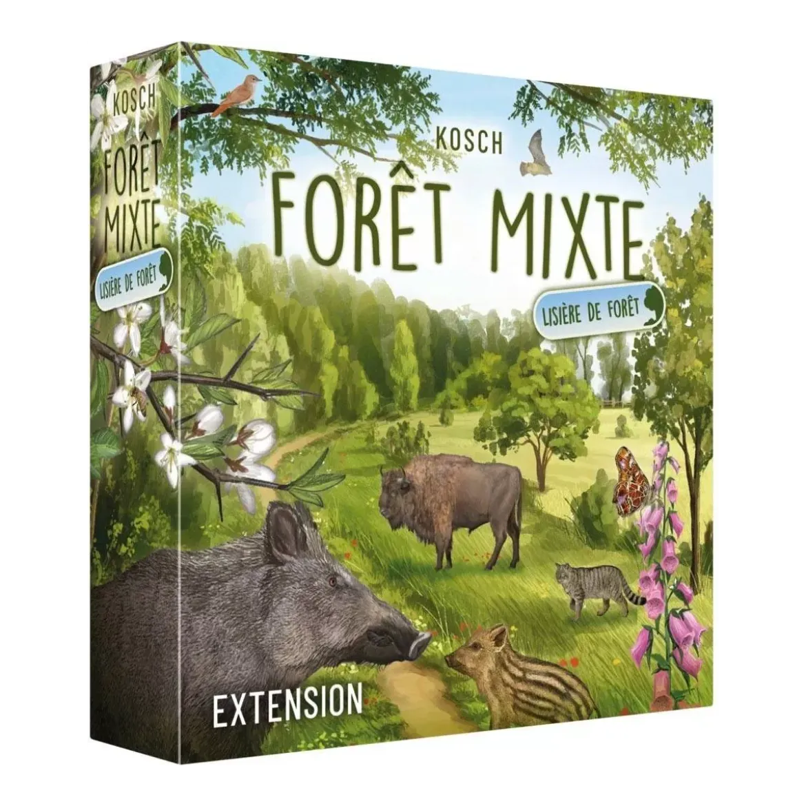 Forêt Mixte : Lisière de Forêt - Extension