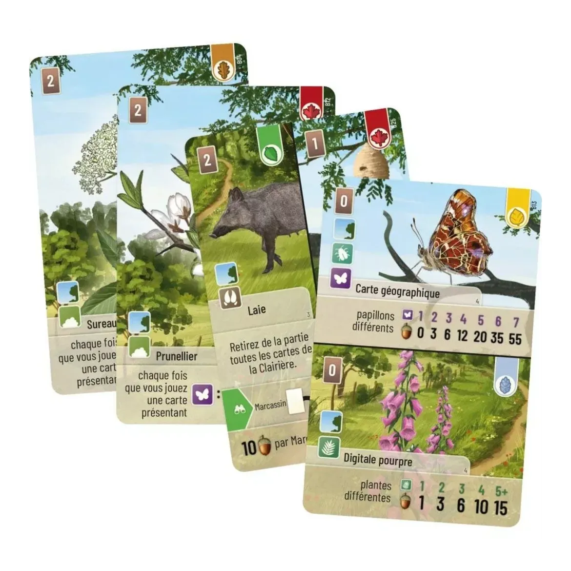 Forêt Mixte : Lisière de Forêt - Extension