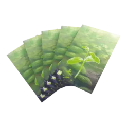 Forêt Mixte - Premium Art Sleeves