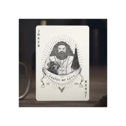 Jeu de 54 cartes Bicycle Theory 11 - Harry Potter : Serpentard