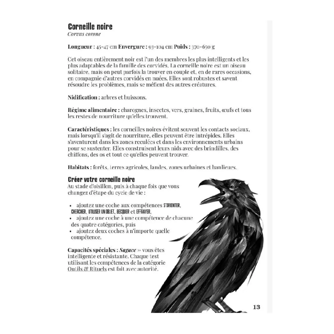La Voie du Corbeau JDR - Le Jeu de Rôle Solo