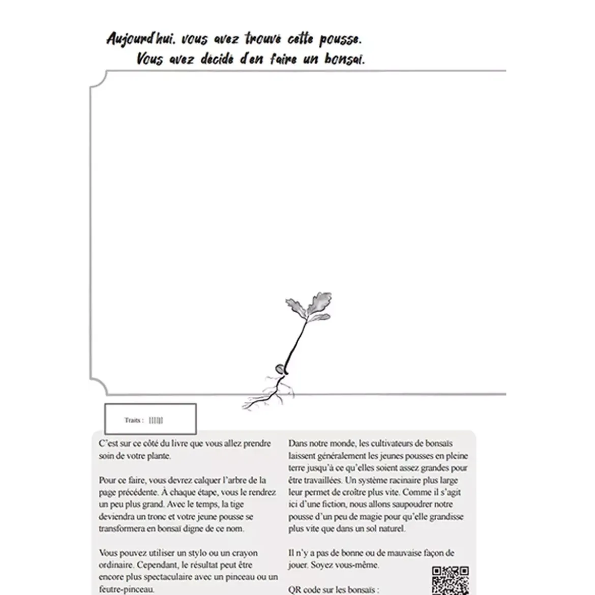 Le Journal d’un Bonsaï