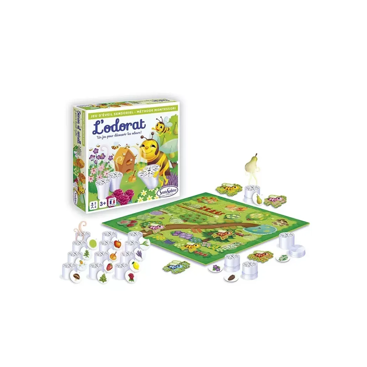 L'Odorat