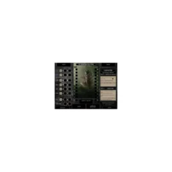 L'ordre de Veiel : Chapitre 2 - Extension