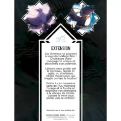 Mage Noir : Le Corbeau et l’Érudite - Extension Air