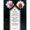Mage Noir : Le Renard et la Vengeresse - Extension Feu