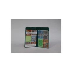 Mégalopolis - Micro Game