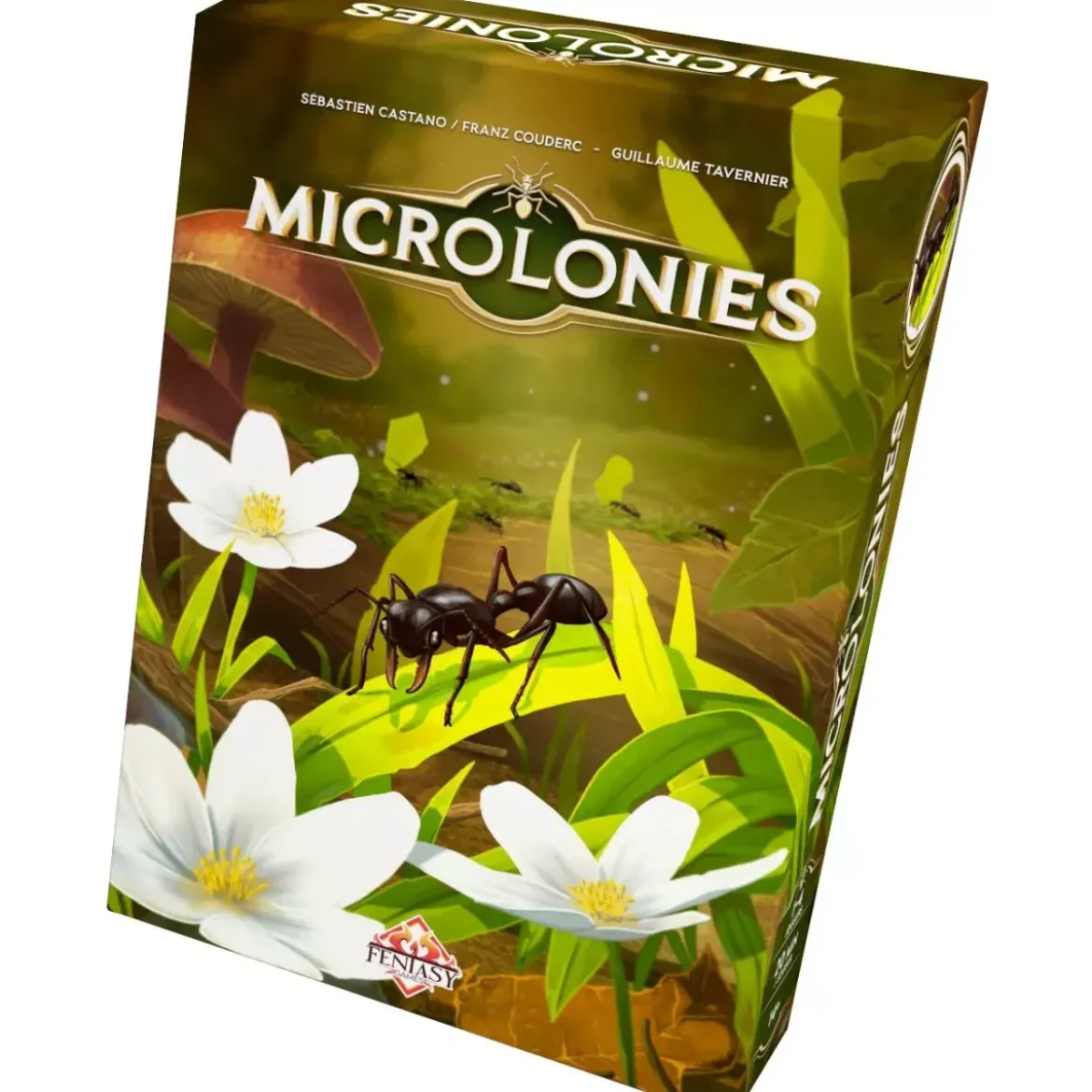 Microlonies - Couverture Fourmi Bouledogue