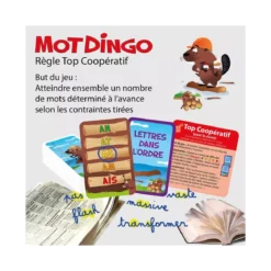 Motdingo CP-CM2