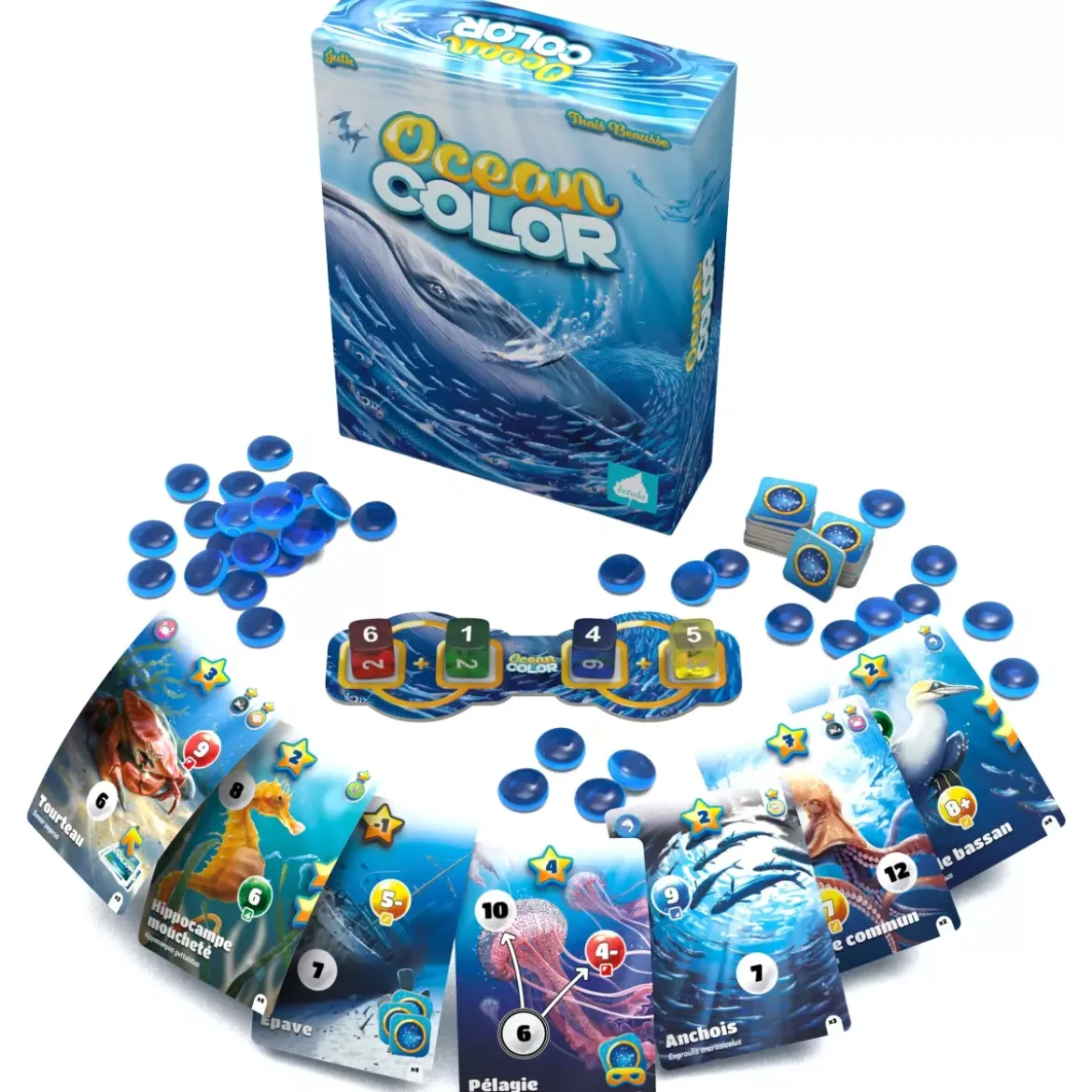 Oceancolor