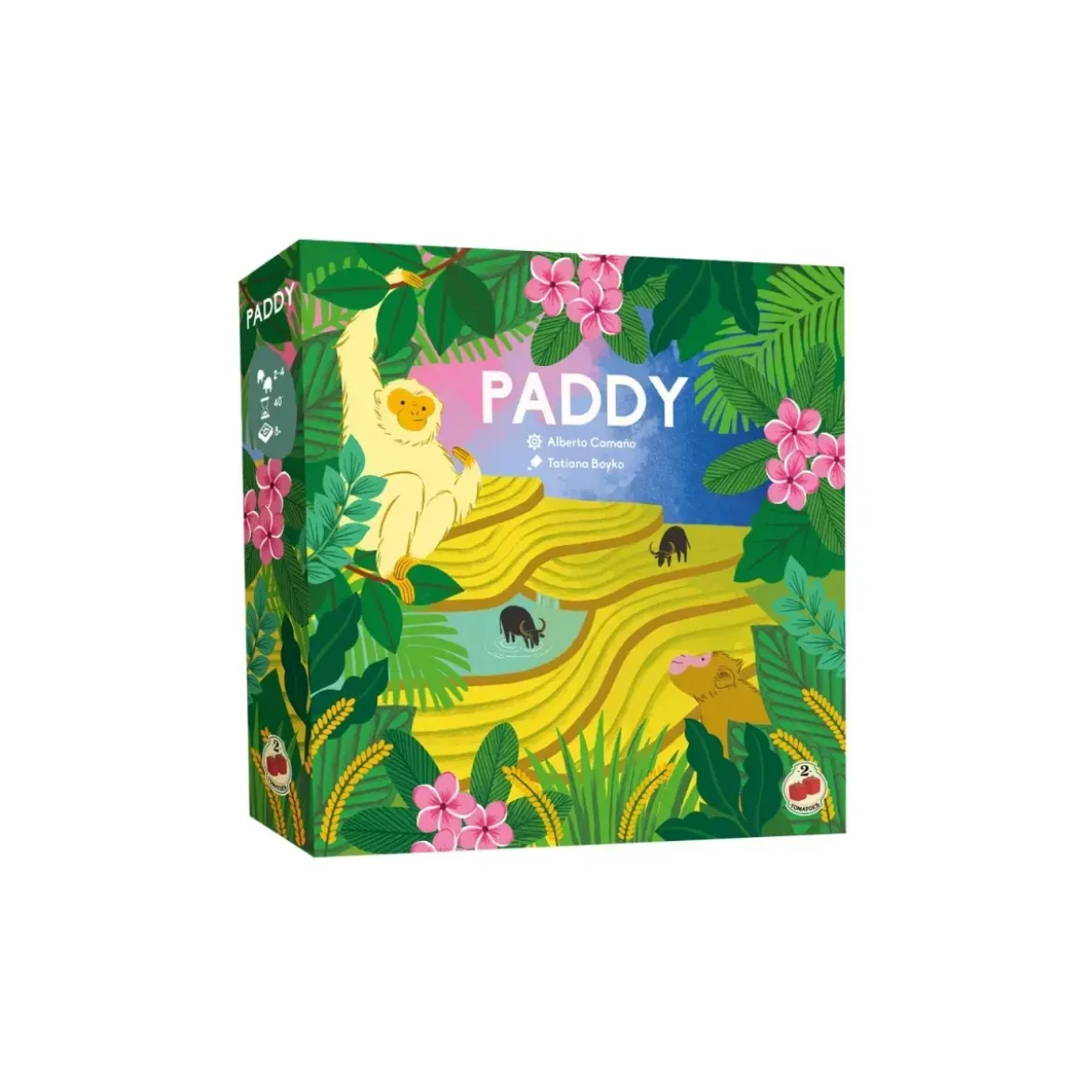 Paddy