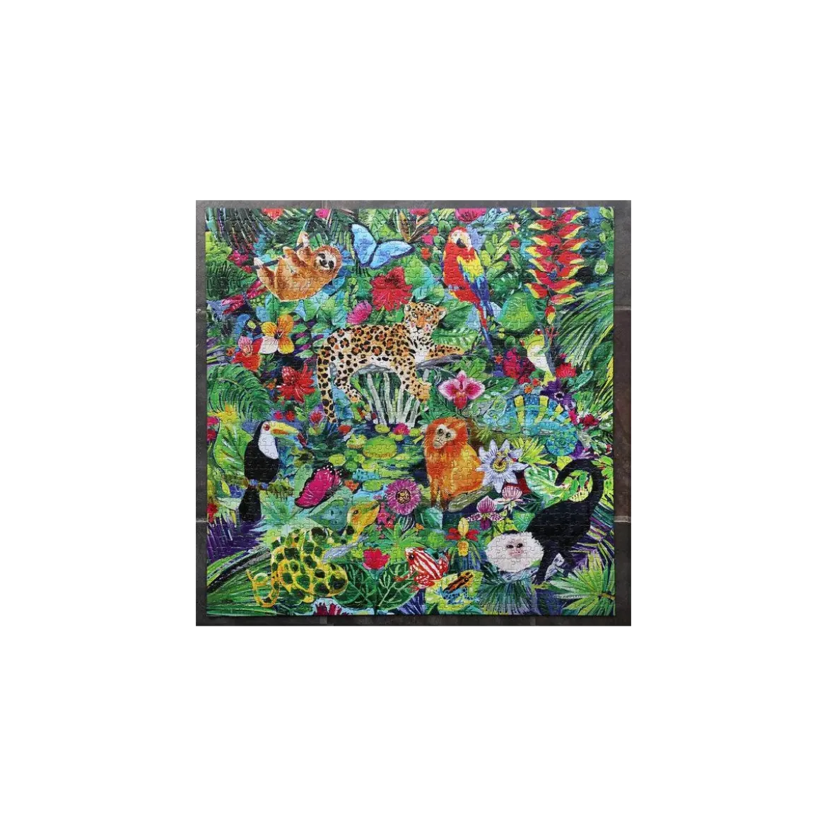 Puzzle Amazon Rainforest - 1000 pièces