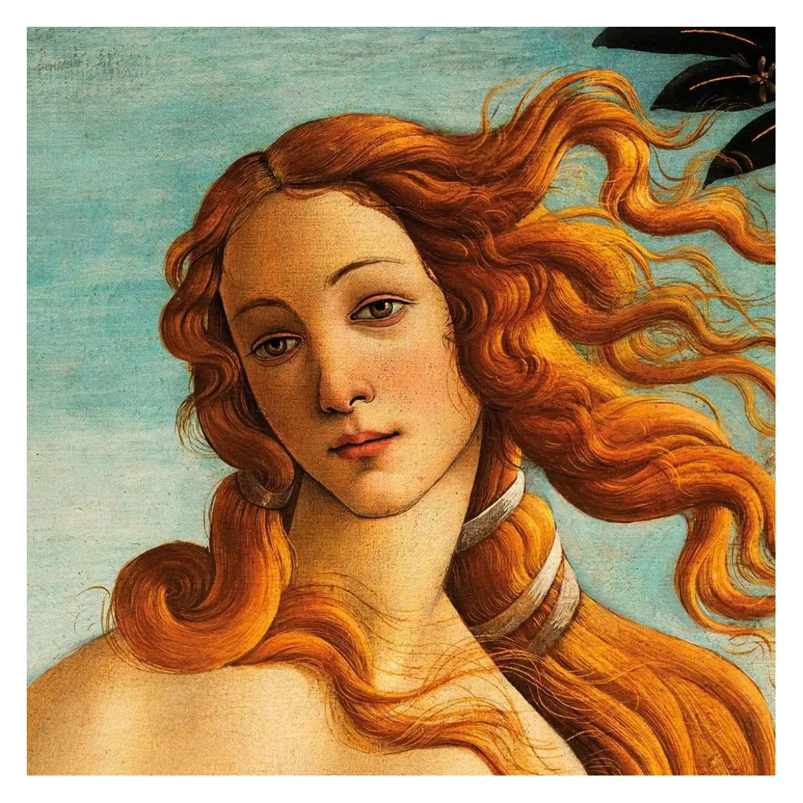 Puzzle Cuzzle Venus - 30 pièces