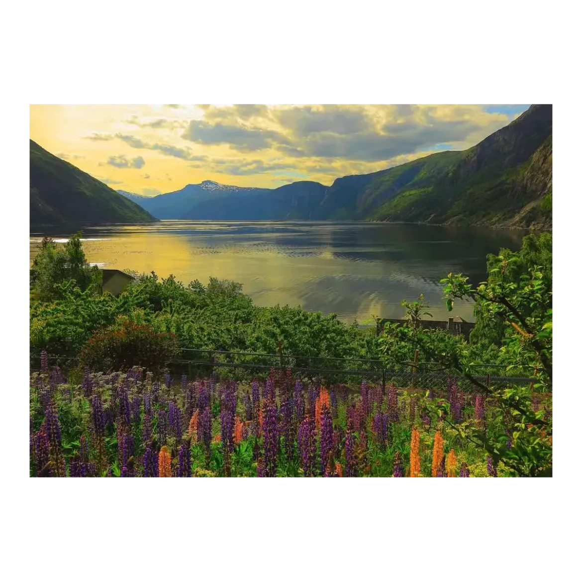 Puzzle Fjord en Norvège - 1000 pièces