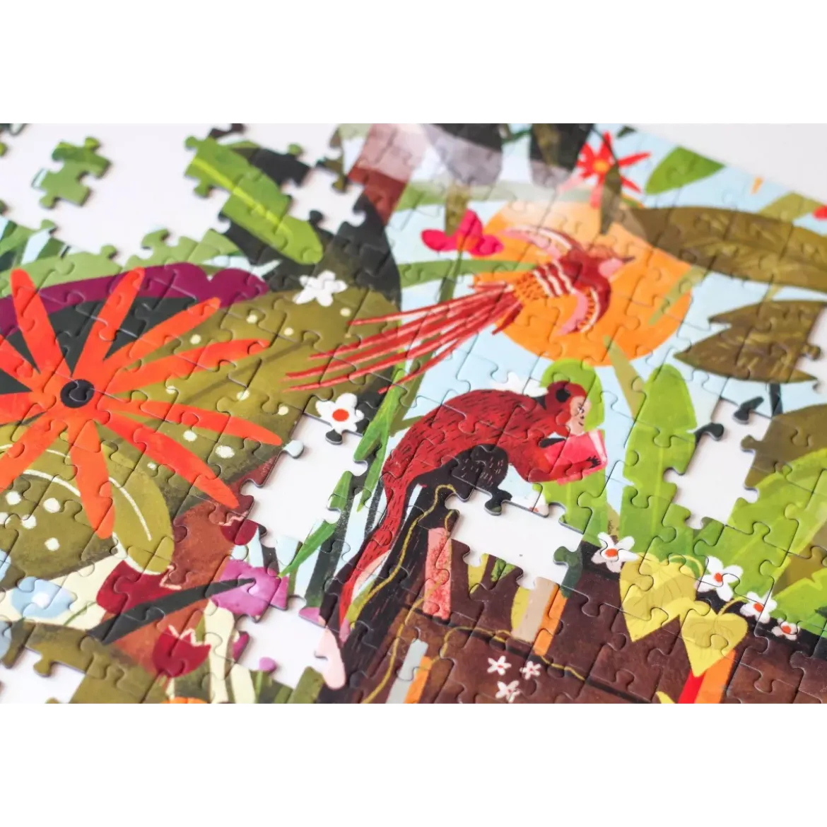 Puzzle Jungle Library - 1000 pièces