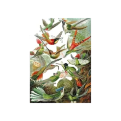 Puzzle Les Colibris - 500 pièces