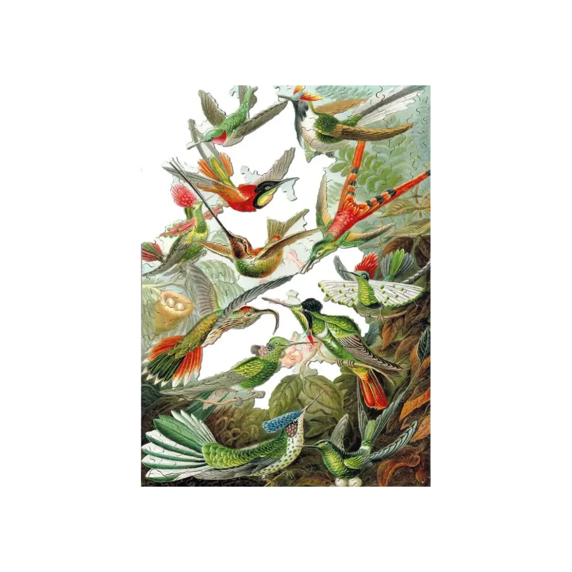 Puzzle Les Colibris - 500 pièces