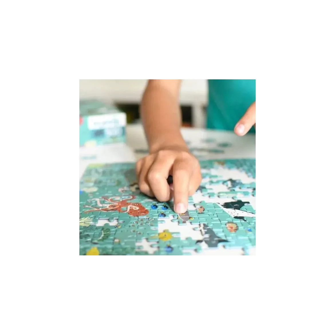 Puzzle Les Océans - 500 pièces