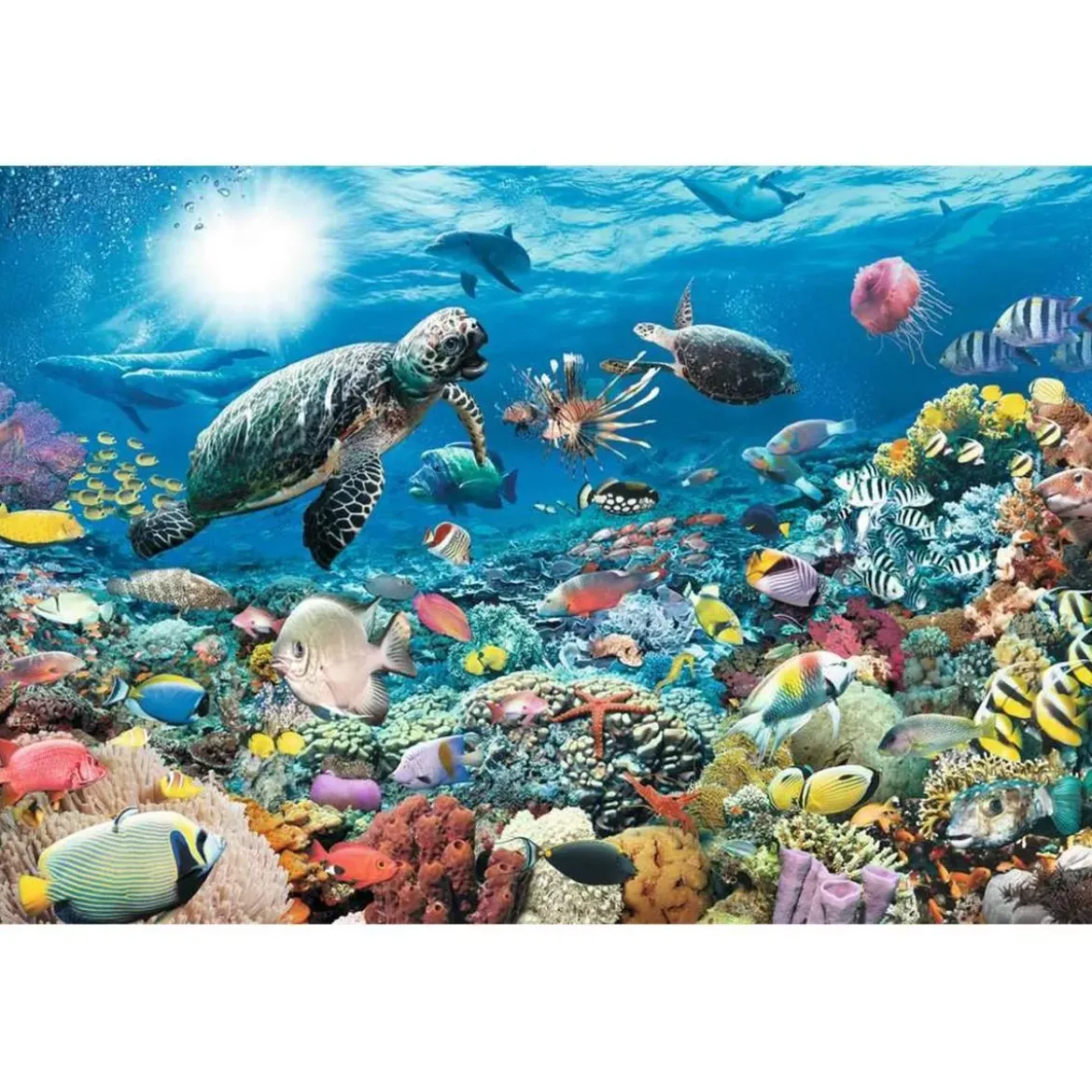 Puzzle Monde Marin - 5000 pièces