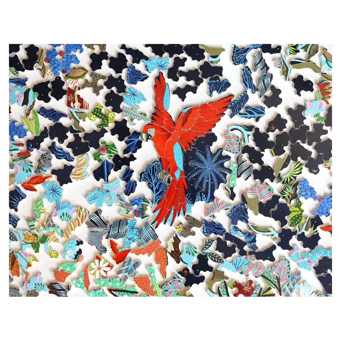 Puzzle Rond Ara Nocturne et ses Petits - 500 pièces