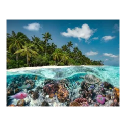 Puzzle Une plongée aux Maldives - 2000 pièces