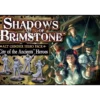 Shadows of Brimstone : City of the Ancients - Alt Gender Hero Pack - Version Anglaise
