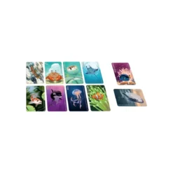 Similo : Animaux Aquatiques