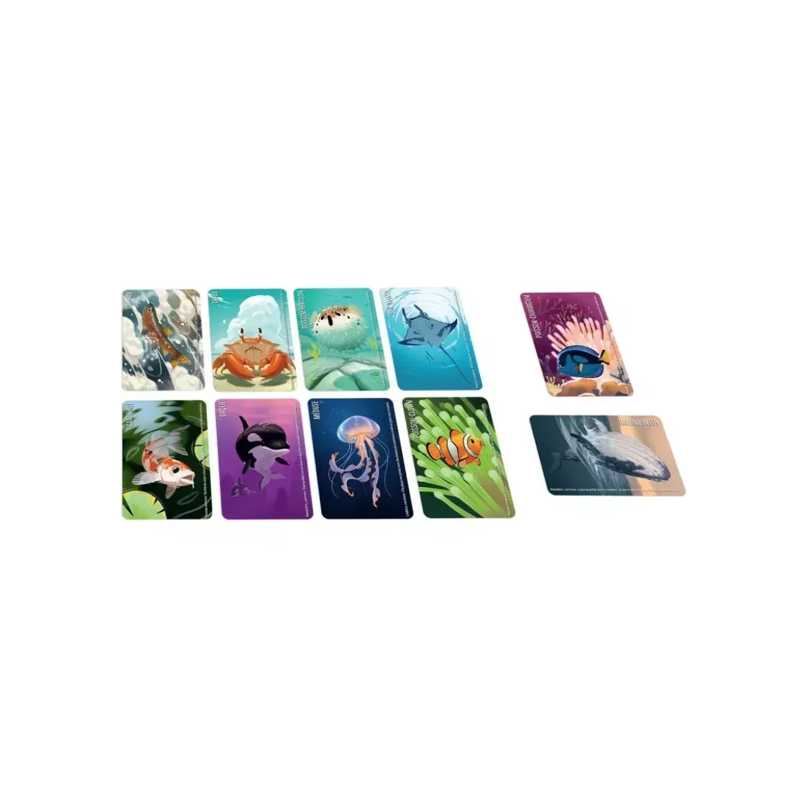 Similo : Animaux Aquatiques