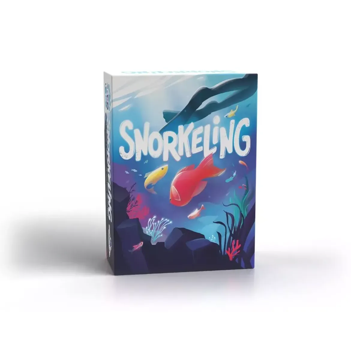 Snorkeling