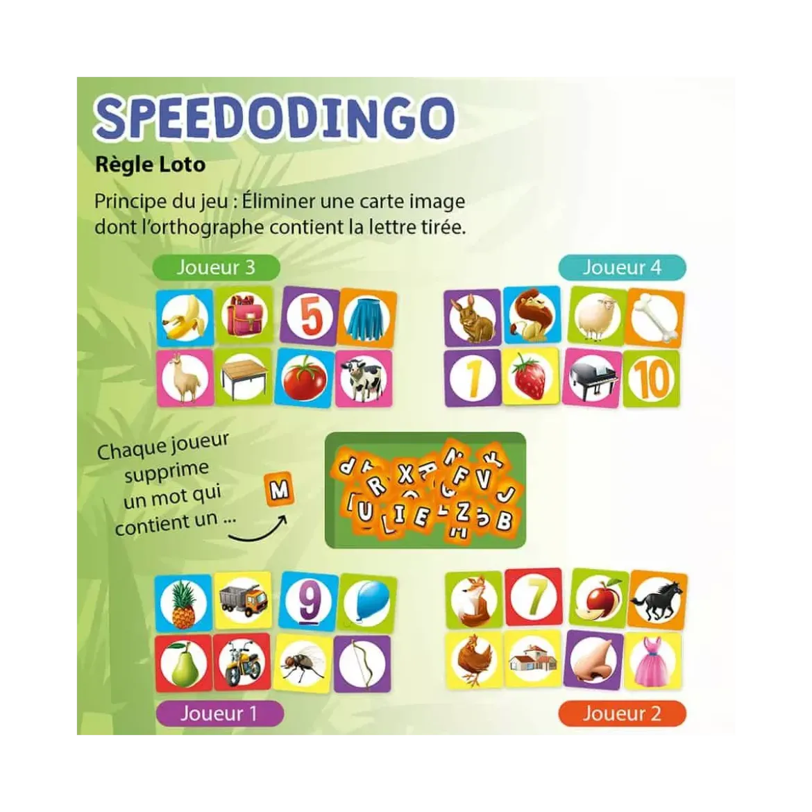 Speedodingo CP-CE2