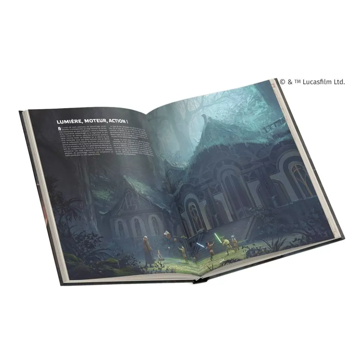 Star Wars Force et Destinée : Livre de Règles