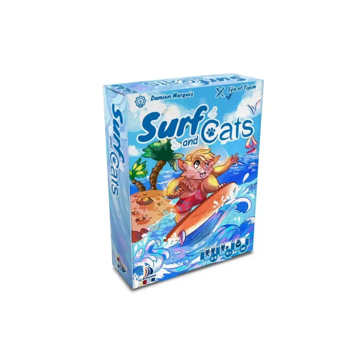 Surf and Cats